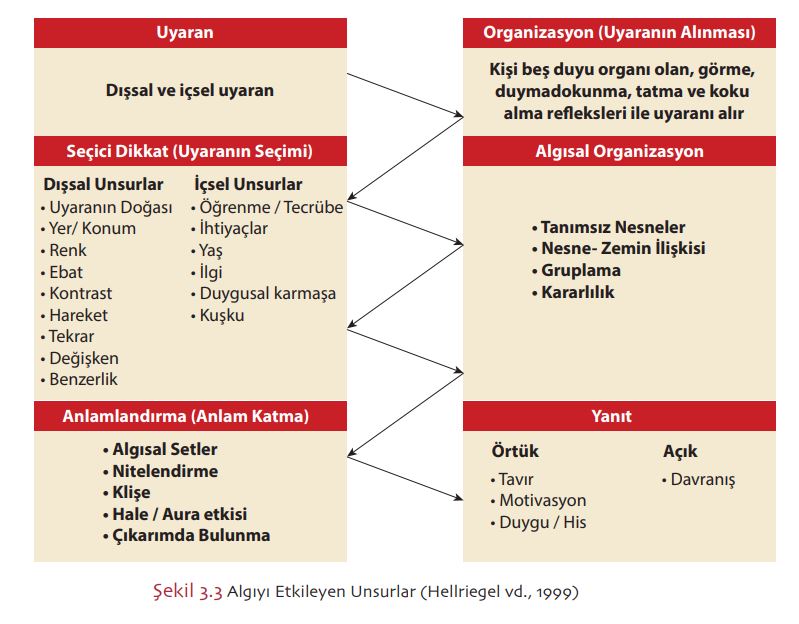  Algıyı Etkileyen Unsurlar