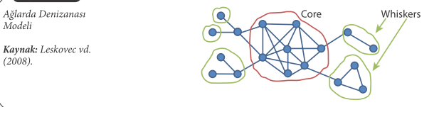 Ağlarda Denizanası Modeli