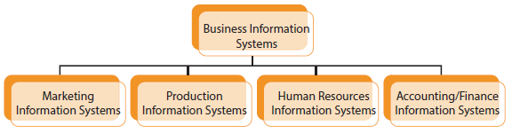 Figure 1. 13 Business Information Systems