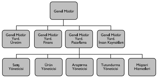 İşleve Göre Örgüt Yapısı