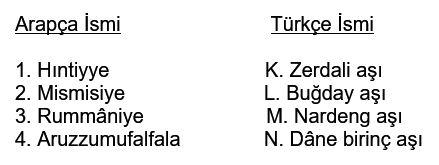 isimler