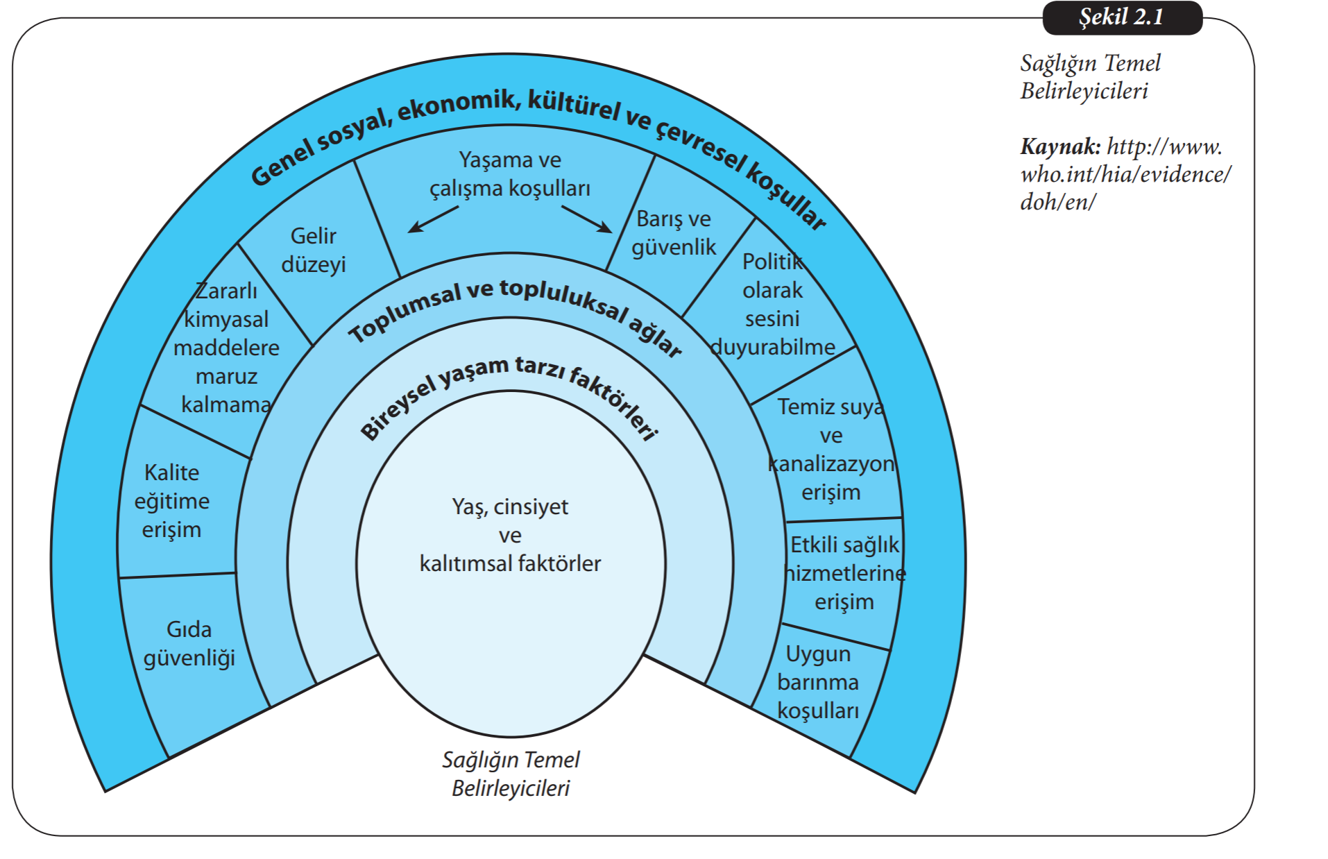 Sağlığın temel belirleyicileri